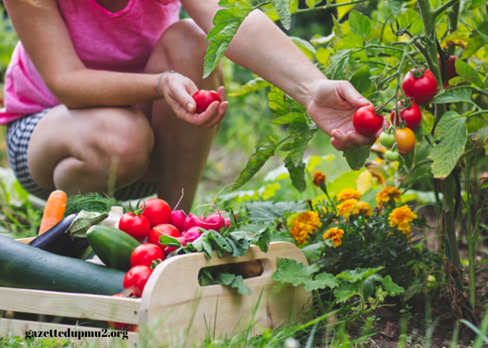 Gardening Essentials