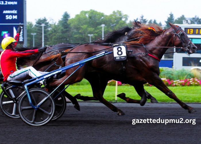 Jephte Turf Accueil