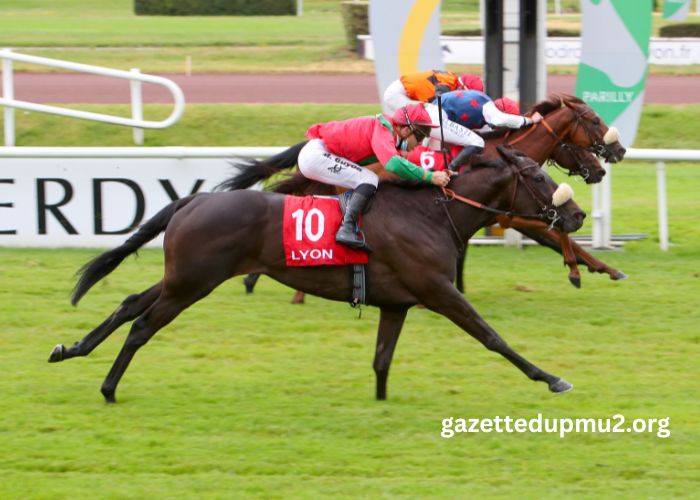 Resultat Des Courses Aujourd'hui (1)