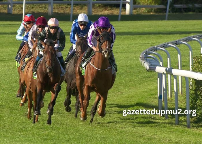 Turf DE France (1)
